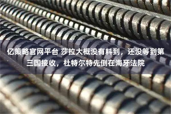 亿策略官网平台 莎拉大概没有料到，还没等到第三国接收，杜特尔特先倒在海牙法院