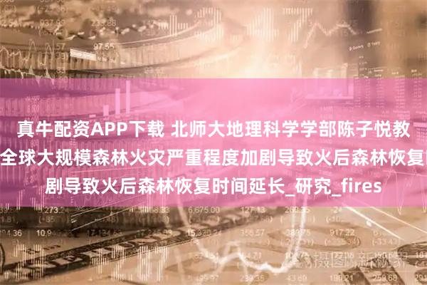 真牛配资APP下载 北师大地理科学学部陈子悦教授团队及合作者揭示全球大规模森林火灾严重程度加剧导致火后森林恢复时间延长_研究_fires