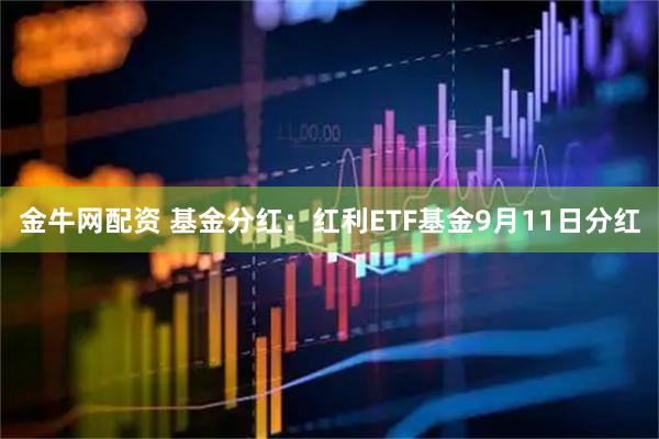 金牛网配资 基金分红：红利ETF基金9月11日分红