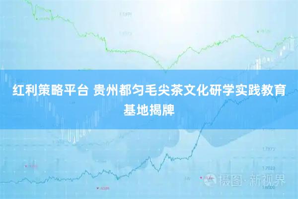 红利策略平台 贵州都匀毛尖茶文化研学实践教育基地揭牌